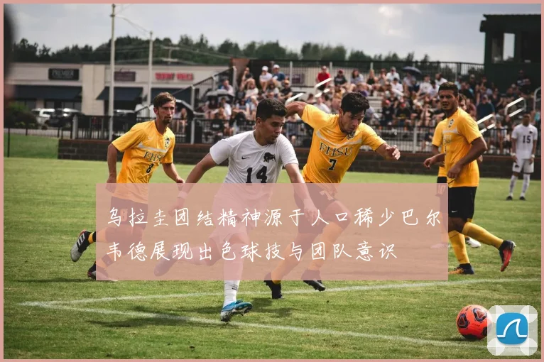 乌拉圭团结精神源于人口稀少巴尔韦德展现出色球技与团队意识